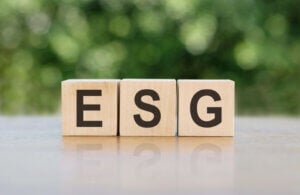 Blocks spelling out ESG